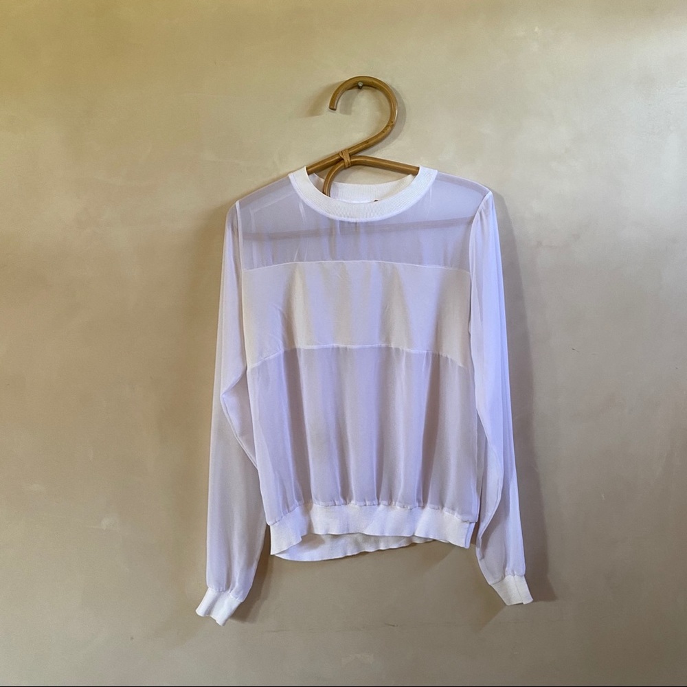 Sheer Zara Top